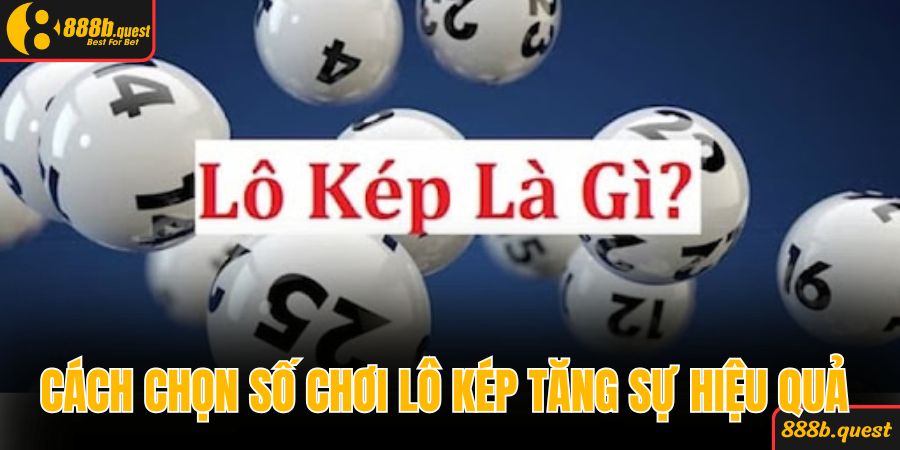 Cách chọn số chơi lô kép tăng sự hiệu quả 
