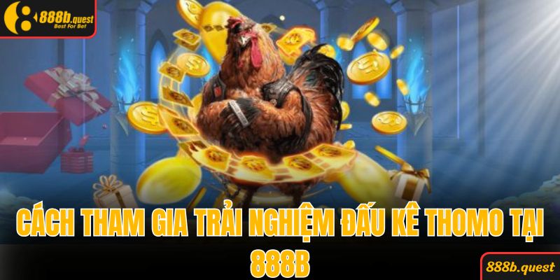 Cách tham gia trải nghiệm đấu kê Thomo tại 888B 