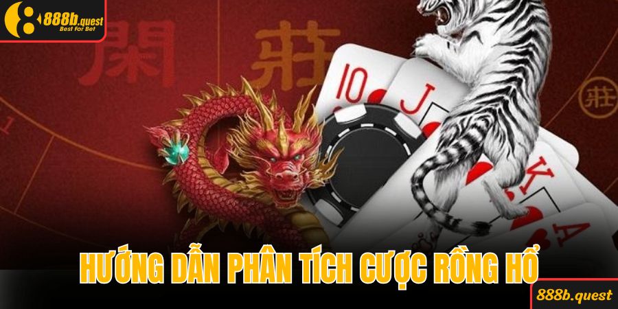 Hướng dẫn phân tích cược rồng hổ hiệu quả 