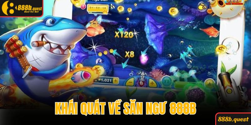 Khái quát sơ lược về săn ngư tiểu tiên nữ tại 888B