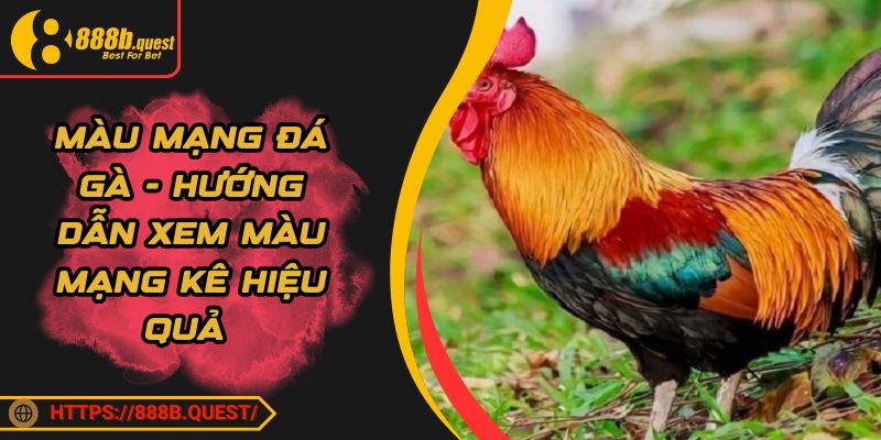 Màu Mạng Đá Gà - Hướng Dẫn Xem Màu Mạng Kê Hiệu Quả 