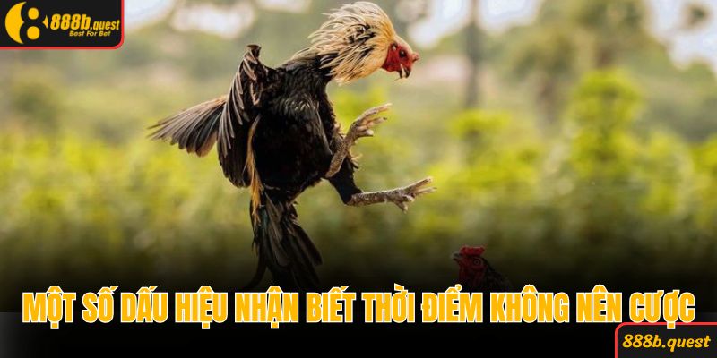 Một số dấu hiệu nhận biết thời điểm không nên cược
