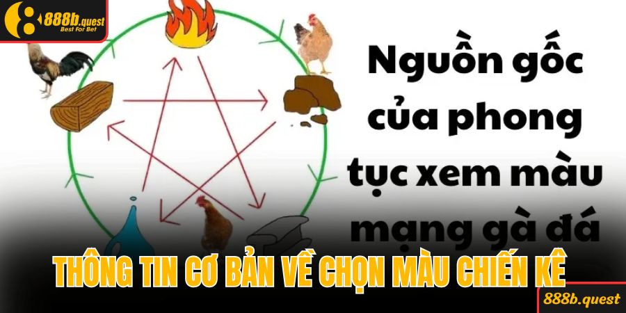 Thông tin cơ bản về chọn màu chiến kê 