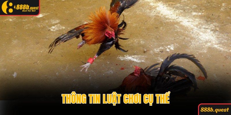 Thông tin luật chơi và cách phân định thắng thua cụ thể